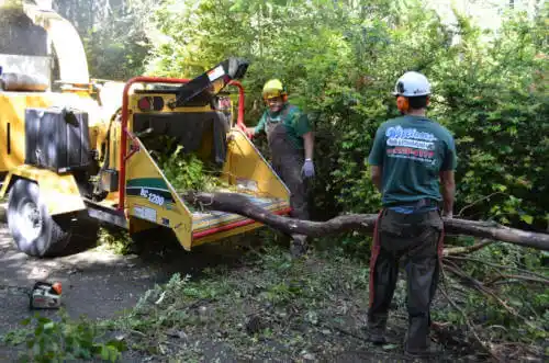 tree services Oak Run